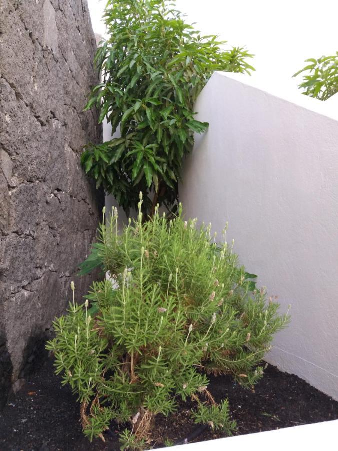 Villa Lanzarote Puerto Calero Esterno foto